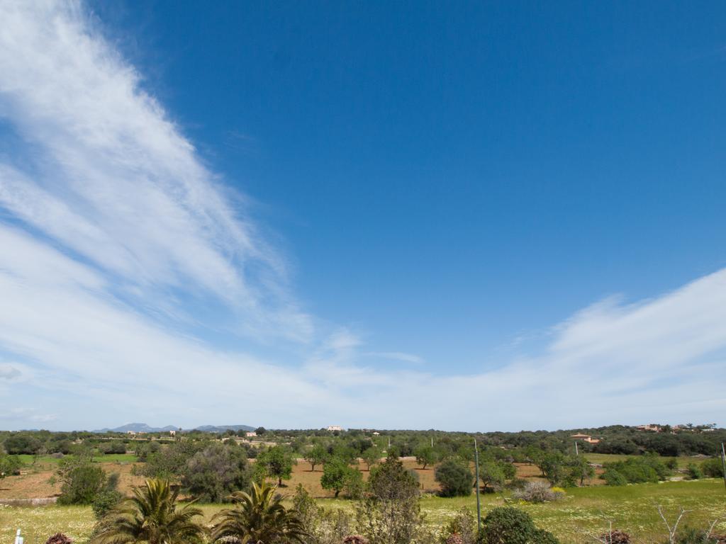 Agroturismo S Hort De Can Carrio Ag226 Сес-Салинес Экстерьер фото